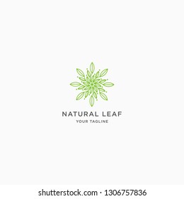 Natural Leaf flower Logo design template flat vector