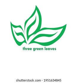 Natural leaf green design on white background