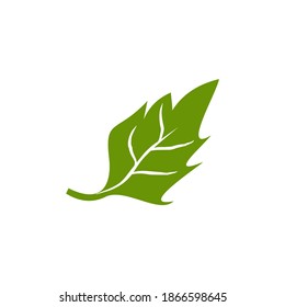 Natural leaf icon logo design vector template