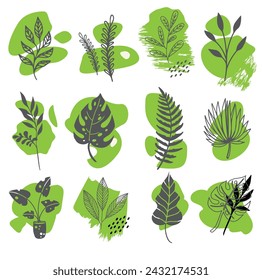 Natural leaf icons classical hand drawn sketch