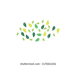 Natural leaf illustration