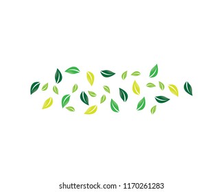 Natural leaf illustration