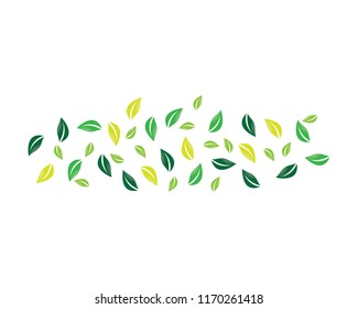 Natural leaf illustration