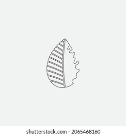 natural leaf logo, beautiful, one with nature, natural, green for the earth.