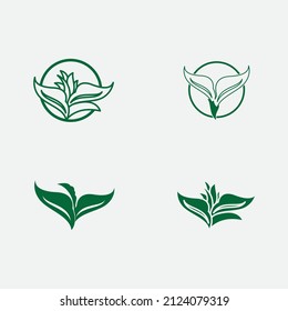 logotipo de hoja natural, hermoso, uno con naturaleza, natural, verde para la tierra.