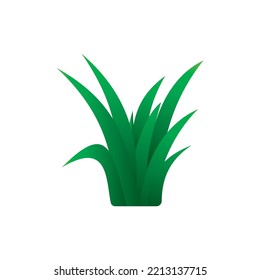 Naturblattlogo, schön, eins mit Natur, natürlich, grün für die Erde.