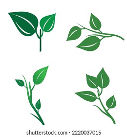 logotipo de hoja natural, hermoso, uno con naturaleza, natural, verde para la tierra.
