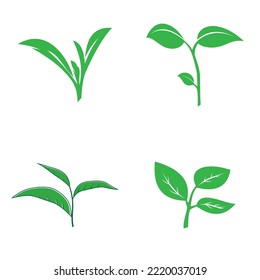 logotipo de hoja natural, hermoso, uno con naturaleza, natural, verde para la tierra.