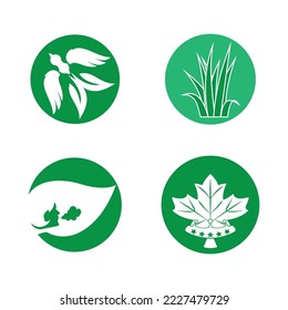 natural leaf logo with beautiful shape