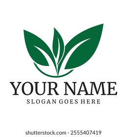 natural leaf logo with beautiful shape