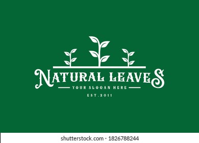 natural leaf logo design concept vector template