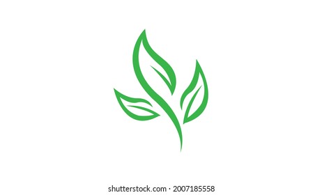 Natural leaf logo design template element