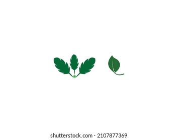 Natural Leaf Logo Icon Vector
