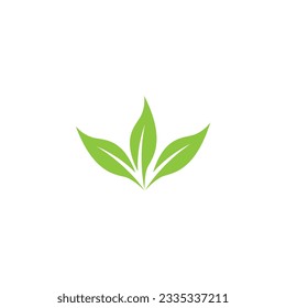 natural leaf mint green logo illustration design vector