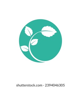 Natural leaf mint logo vector template symbol design