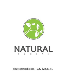 Natural Leaf nature eco Logo Design Template