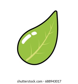 natural leaf of plant and exotic botany
