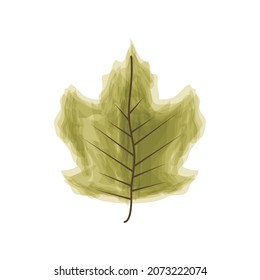 natural leaf plant watercolor icon