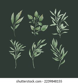 Natural leaf and plant watercolor style collection