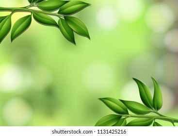 A natural leaf template illustration