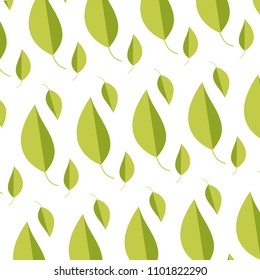 natural leaf tropical botany background