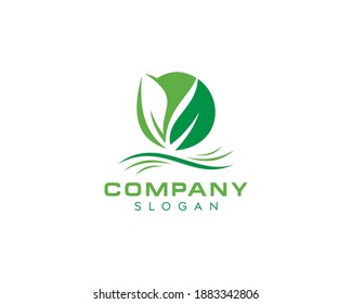 Natural leaf vector logo design-green leaf vector-Eco natural green color vector logo design