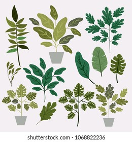 natural leafs and houseplant pattern background