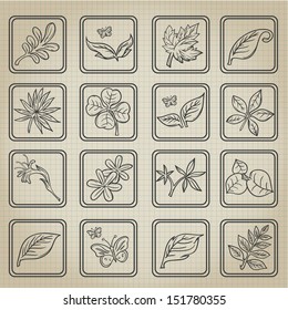 Natural Leafs Icon Doodle Set