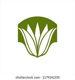 Natural leave with green background vector design