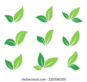 natural leaves and branch silhouettes set icons