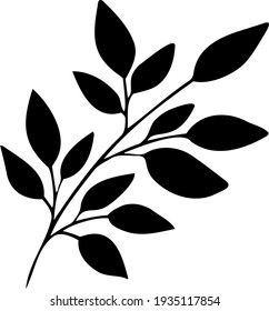 Natural leaves herbs in line style. Black Leaf ornament for design hand drawn tree branch