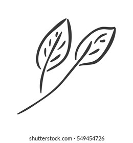 natural leaves icon
