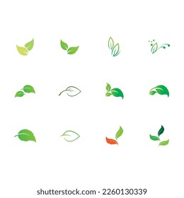 Natural leaves icon vector set isolated on white background. Various shapes of green leaves of trees and plants. Elements para eco y bio logo