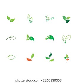 Natural leaves icon vector set isolated on white background. Various shapes of green leaves of trees and plants. Elements para eco y bio logo