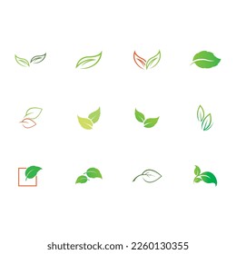 Natural leaves icon vector set isolated on white background. Various shapes of green leaves of trees and plants. Elements para eco y bio logo