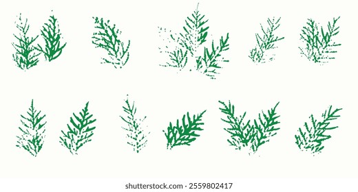 Natural leaves imprint, Grunge style, Vector, Isolated, Decorative elements for design