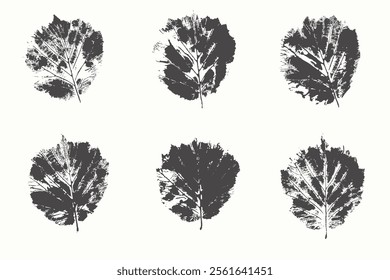 Natural leaves imprint, Grunge style, Vector, Isolated, Decorative elements for design
