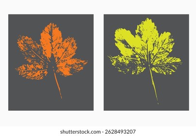Natural leaves imprint, Grunge style, Vector, Isolated, Decorative elements for design