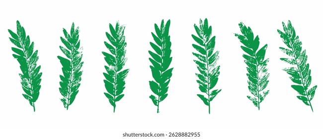 Natural leaves imprint, Grunge style, Vector, Isolated, Decorative elements for design