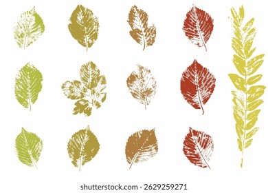 Natural leaves imprint, Grunge style, Vector, Isolated, Decorative elements for design