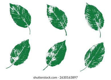 Natural leaves imprint, Grunge style, Vector, Isolated, Decorative elements for design