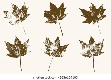 Natural leaves imprint, grunge style, vector, isolated, decorative elements for design