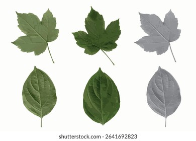 Natural leaves imprint, grunge style, vector, isolated, decorative elements for design	