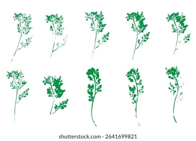 Natural leaves imprint, grunge style, vector, isolated, decorative elements for design	