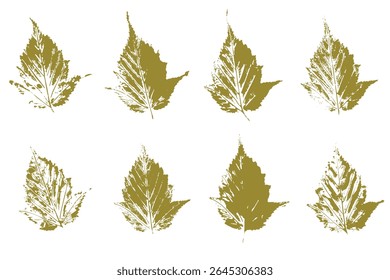 Natural leaves imprint, grunge style, vector, isolated, decorative elements for design