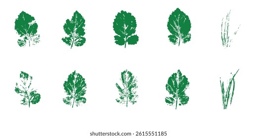 Natural leaves imprints, Grange style, Vector, Isolated, Decorative elements for design.
