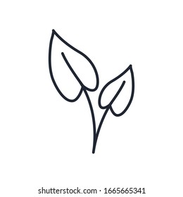 natural leaves line style icon design of Floral nature plant garden ornament botany decoration and life theme Vector illustration