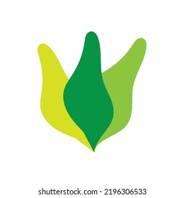 natural leaves template logo vector