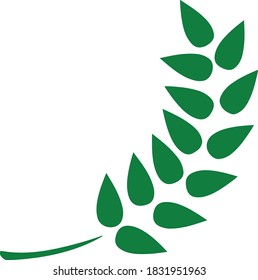 Natural leaves vector for Packaging and labels