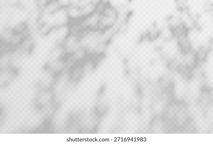 Sombra de luz natural superpuesta con follaje de árbol y corona sobre fondo transparente. Silueta suave con textura de hojas y efecto de luz solar borrosa